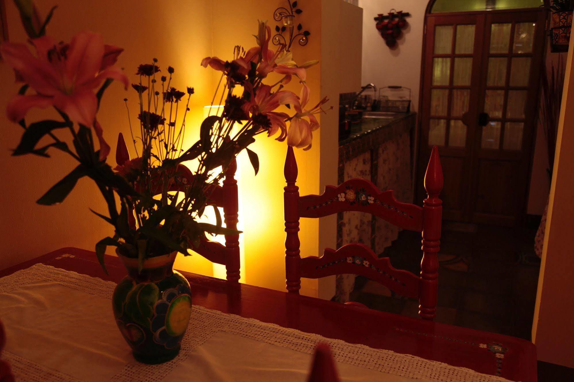 Art Residence San Angel Meksyk Zewnętrze zdjęcie